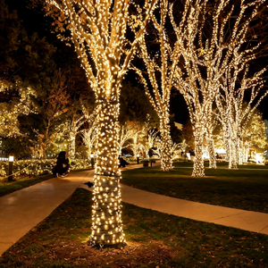 Waterproof LED Outdoor Christmas Lights IP44 Rated Dimmable 2700K Warm White String Light Decoration With 10M-100M Length