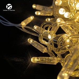LED Christmas String Lights Energy Saving Outdoor Holiday Decorative Lighting String Lighting for Garden Application