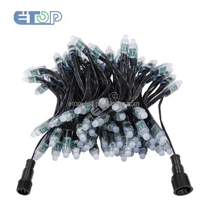 ETOP DC12V WS2811 IP68 Pixel Chain Light 50 LEDs 100 LEDs Smart Control 18AWG Wire Bullet LED Pixel String Christmas Outdoor