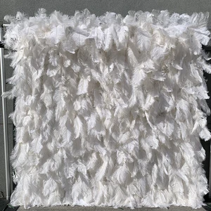 Birthday Supply Magazine Photo Booth Party Rentals Flower Wall 8ft X 8ft Roll up Ostrich White Feather Wall Backdrops for Events