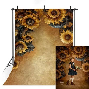 Abstract Gradient Photography Backdrop Newborn Baby Screen Photo Props for Photographers