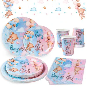 Ychon Baby Gender Reveal Party Tableware Set Disposable Dinnerware Plate Set Table Decorations Baby Shower Party Decoration