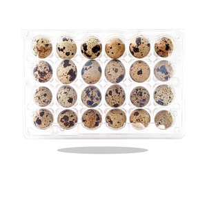 24 30 Holes Hinged Disposable Suppliers Clear Blister Plastic Quail Eggs Packaging Egg Trays