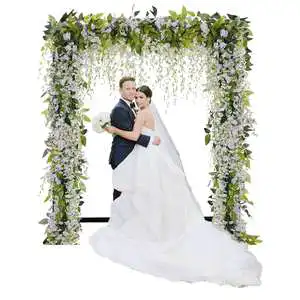 Fabric Background Stand Wedding Event Photo Studio Video Background Stand Adjustable Background Stand