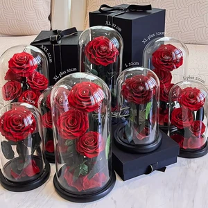 2026 2027 Tiktok Hot Selling Eternal Rose Flowers Morthers Day Everlasting Preserved Flower Forever Roses in Glass Dome Led