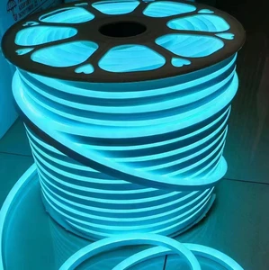 Pure Silicone Led Neon Strip Lights IP67 Waterproof 12V Decorative Neon Lights Custom Size Multi-Color for Outdoor Landscapes