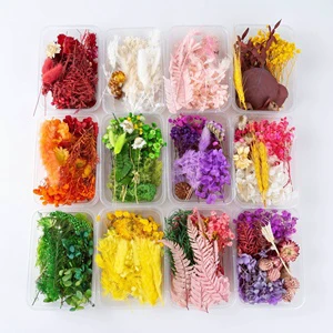 DIY Handmade Craft Decor Mixed Color Eternal Flower Material Box Preserved Dry Plants And Real Dried Flowers Set For Resin Art