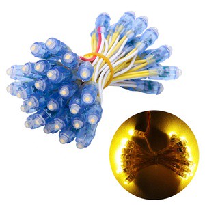 Hot Sale Factory Direct Sale 12V Led Pixel 12mm Single Color Christmas Pixel LED Light