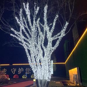 IP65 waterproof outdoor decorative street motif Dandelion led christmas lights