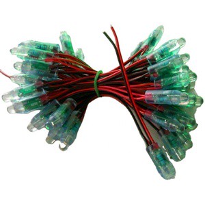 Carnival Wholesale Outdoor Fancy Festoon Garden Global White Color Led 5V 12mm Ferry Lights Led Christmas String Light