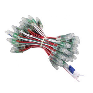 Holiday Outdoor Garland Lighting Christmas Lights Led Pixel Ws2811 5V