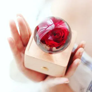 Novelty Gifts 2026 Trends New Years Innovative Product Ideas Real Flower Light Bluetooth Speaker Holiday Festival Gift Sets