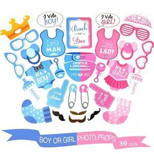 Wholesale Gender Reveal Photo Booth Props - Boy or Girl Handheld Photography Props Set for Kids' Birthday Party & Baby Shower