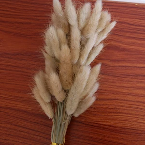 Extra Large Bunny Tail Grass Rabbit Tail Grass Dried Flowers Preserved Real Natural Flower Bouquet For Vase Table Decocor