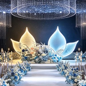 Luxurious Iron Stage Wedding Backdrop Aisle Decorative Lights with Luminous LED Lotus Leaf Pathway Design