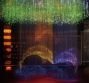 RGB Dolphin Shape LED Fiber Optic Light IP65 Waterproof Decorative for Restaurant Bar Landscape Garden Decoration Lighting
