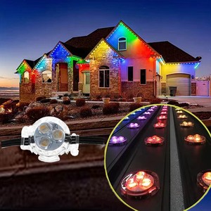 IP65 Smart Control LED Point Pixel Christmas Lights Indoor Plastic Home Garden Decorative Lighting for Festive Appeal Outdoor