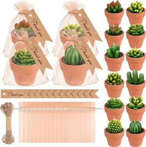 Novelties for Parties Succulent Plant Candle Mini Cactus Tealight Candles for Wedding Souvenirs for Guests