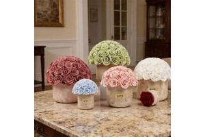 Stone Terre Travertine Vase Dried Natural Eternal Flowers Bouquet Everlasting Eternity Forever Immortal Preserved Roses