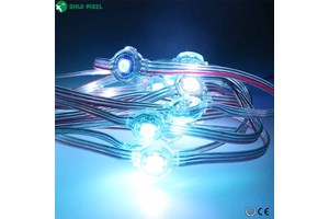 SHIJI 10mm Smart Christmas Outdoor Addressable IC Chip WS2815 Pixel LED 12V Waterproof IP67 Led Pixel Light String