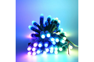 WS2811 Digital 12V 24V IP68 Bullet Pixel LED 12mm Full Color Addressable 1903 Wholesale RGBIC RGB Module Smart LED String Lights