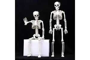 Adjustable Halloween Horror Ornament Pumpkin Human Skeleton Party Decoration Supplies