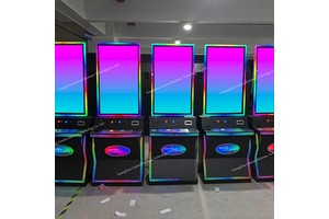 USA Popular 43 Inch Vertical Touch Monitor Amusement Coin-operated Stand Up Wholesale Skill Game Machine Cabinet