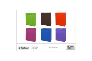 PVC Gift Bag 22x18x7.5cm Party Supplies Item for Festive Occasions