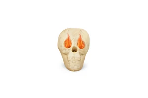 Skull Decoration Beige Plastic Halloween Festive Decor D0100H5NCHT