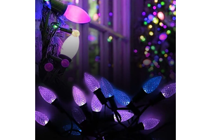 SHIJI Outdoor Waterproof 12V WS2811 LED Strings Light Full Color C9 12V Led Bulb for Christmas Holiday Lighting