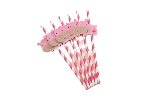 Wholesale Fruit Theme Birthday Party Kids Party Favor Paper Straws 6pcs