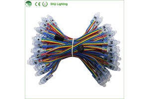 Trade Assurance DMX512 IP67 Waterproof PVC LED String Lights 50pcs/Chain Christmas Outdoor Use with UCS512 Control
