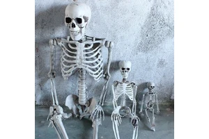 Halloween Cosplay Skeleton S-kull Prop Decoration Haunted House Decoration Horror Party Supplies Halloween Toys