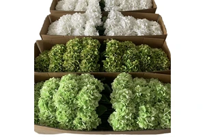 Wholesale Handmade Modern Green Hydrangea Large Heads Artificial Silk Single Stem Faux Flowers For Wedding Home PArty Decoration