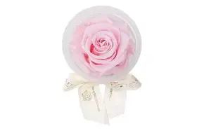 Eternal Rose Personalized Party Supplies Customized Party Favors for Your Special Occasion