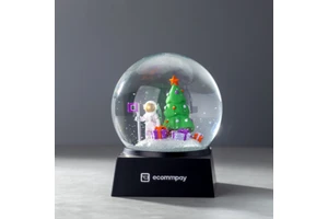 OEM/ODM Brand Snow Globe Custom ABS Resin IP Ornament Decoration Crystal Globe Water Ball For Gift