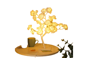 0.5w Lp44 Warm White Christmas Lights