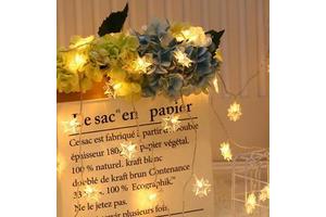 Kanlong New Design 5 Stars LED Christmas Lights Holiday Lighting Home Tree Decoration