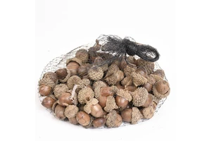 Wholesale DIY Material Home Use Ornaments Christmas Decoration Natural Acorns