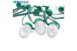 New Design C9-F2 Digital RGB LED Pixel Light String IP68 Strawberry Head Shell Christmas Lights Decorative Landscape Lighting