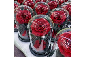Eternal Rose Flowers Valentine's Day Morthers Day Everlasting Preserved Flower Forever Roses in Glass Dome Led