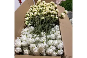Factory Bulk Wholesale Artificial Single Velvet Roses Flower Red White Blue Pink Black Purple Custom Rose Decorative Flowers