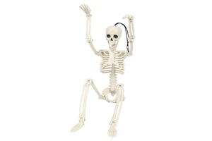 Halloween Skeleton Full Body Plastic Movable Joint Human Bones Hot Selling NEW ARRIVAL for Outdoor Halloween Party Decorations