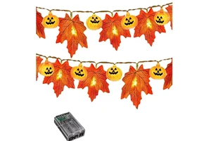 Halloween Pumpkin String Lights Indoor Orange Holiday Decorations for Bars & Family Gatherings Rechargeable IP44 Plastic Lights