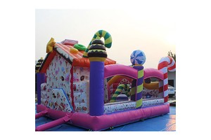 Fast Delivery Birthday Party Inflatable Games Used Factory Direct Price Surgery Game Remote Control PVC Material Blower Custom