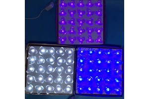 Wholesale LED Tree and Flower Lights Decorative Holiday Lighting for Christmas