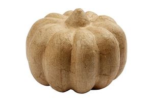 E Bio Pumpkins Fall Party Table Fireplace Supplies Wreath Craft Harvest Halloween Pumpkins Thanksgiving Centerpieces