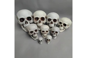 Plastic Halloween Party Artificial Skull Decoration