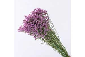 Wedding Centerpieces Table Decorations Dried Limonium Preserved Crystal Grass Dried Wedding Flower