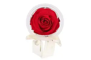 Mini Eternal Rose Party Favor Set of 4 for Valentine's Day Celebrations